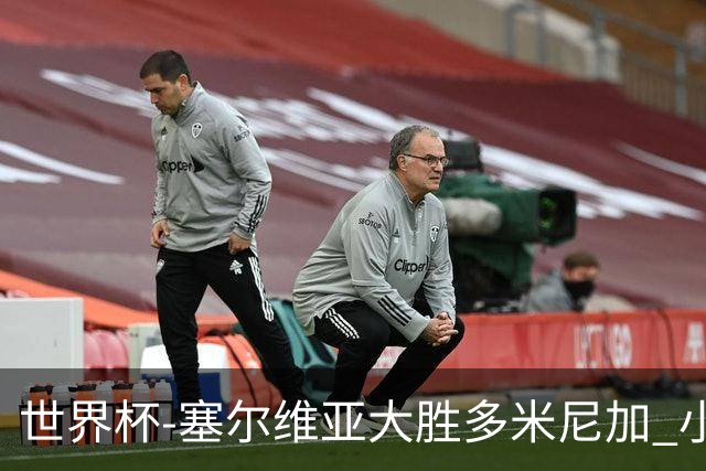 世界杯-塞尔维亚大胜多米尼加 小组第二进八强