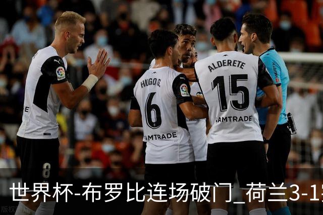 世界杯-布罗比连场破门 荷兰3-1突尼斯获小组头名将战摩洛哥