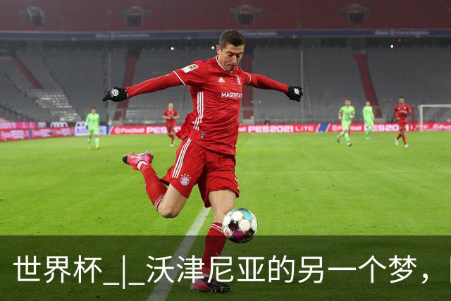世界杯 | 沃津尼亚的另一个梦，圆了