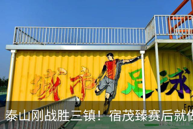 泰山刚战胜三镇！宿茂臻赛后就做出一个决定，事关球队冬窗引援