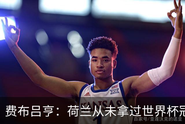 费布吕亨：荷兰从未拿过世界杯冠军，我们将尝试去改变这一点