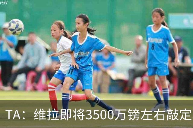 TA：维拉即将3500万镑左右敲定若昂·戈麦斯 并在谈租帕利尼亚